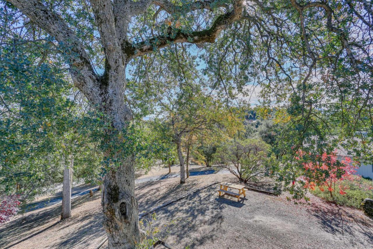 Cozy Studio With Well-Being Retreat Near Yosemite! Ahwahnee Dış mekan fotoğraf