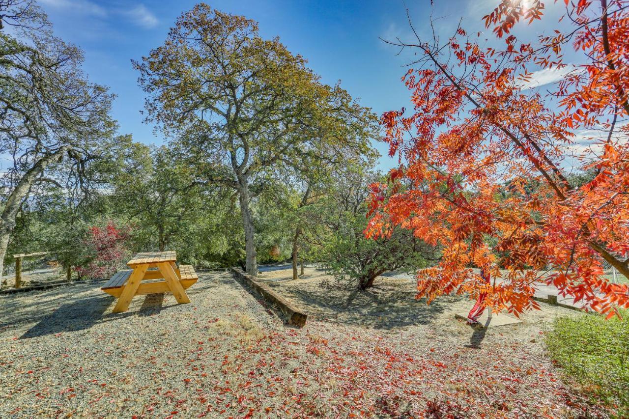 Cozy Studio With Well-Being Retreat Near Yosemite! Ahwahnee Dış mekan fotoğraf